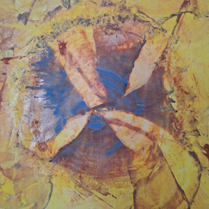 Impression Philipp Bossert